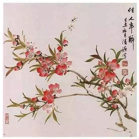 桃花画法|【国画桃花】零基础简单易上手的花卉示范